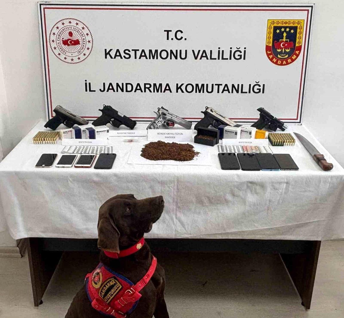 Kastamonu'da uyuşturucu ve silah operasyonu: 3 tutuklama