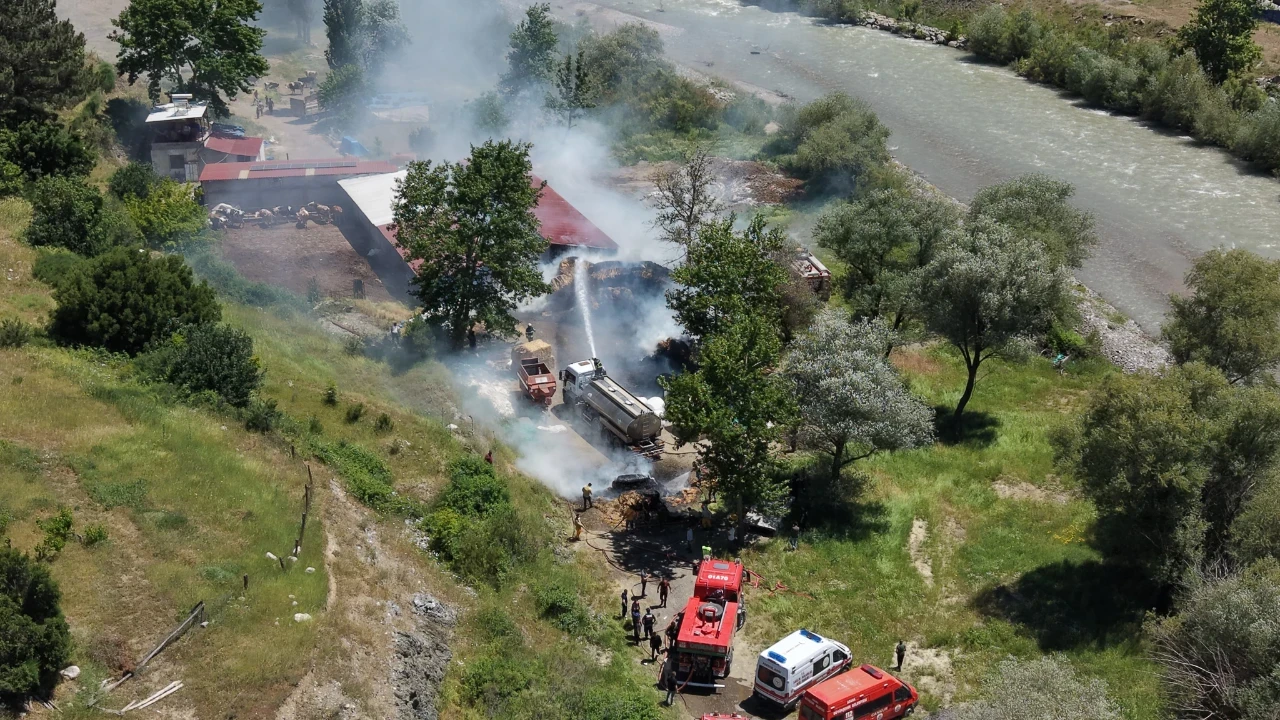 Adana'da hayvan çiftliğinde yangın paniği