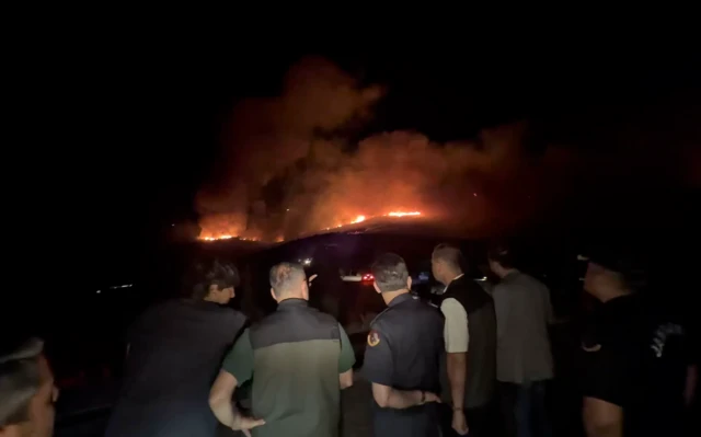 Muğla'da orman yangınları: Milas'taki yangına müdahale sürüyor
