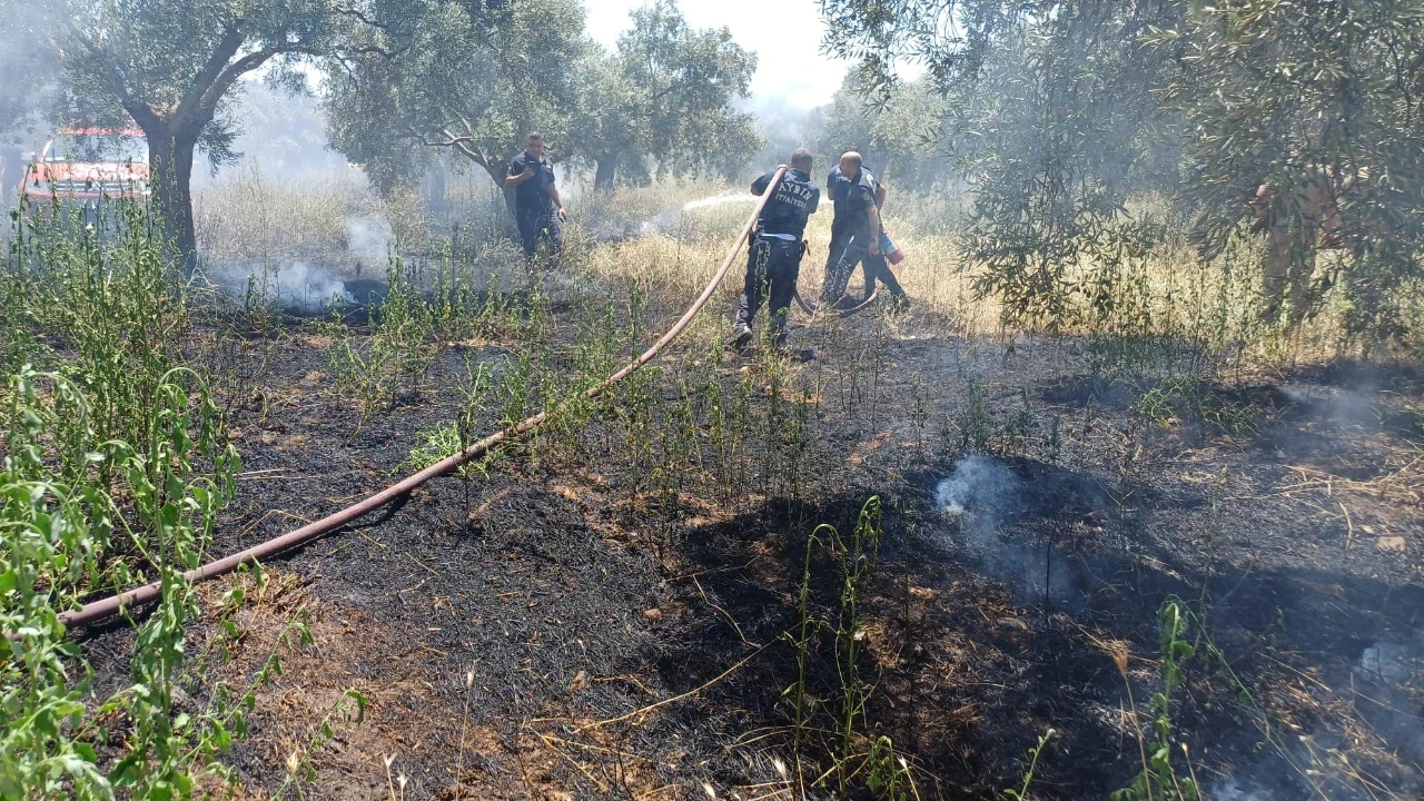 Ot biçerken yangın çıkardı iddiası