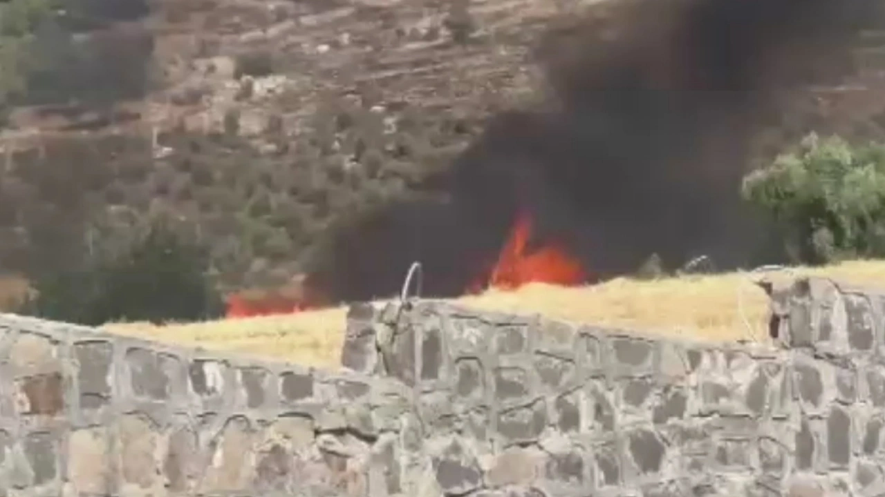 Gaziantep’te orman yangını