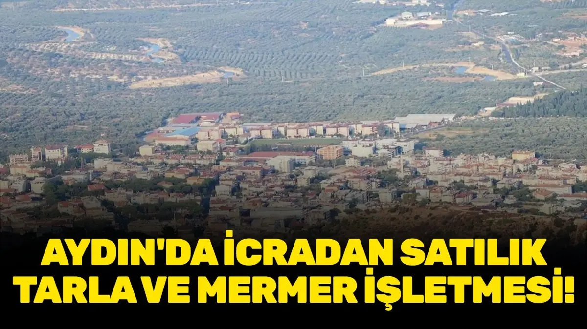 Aydın Bozdoğan'da icradan satılık tarla ve mermer işletmesi!