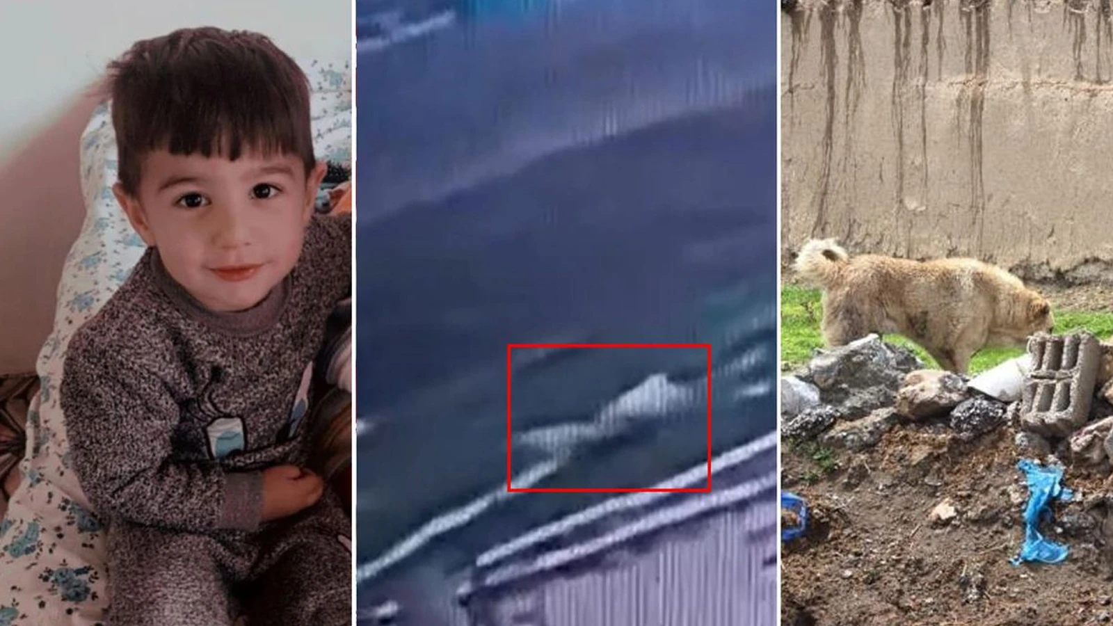 Köpek saldırısı sonrası küçük Hamza hayatını kaybetmişti: Belediye başkanı için flaş karar