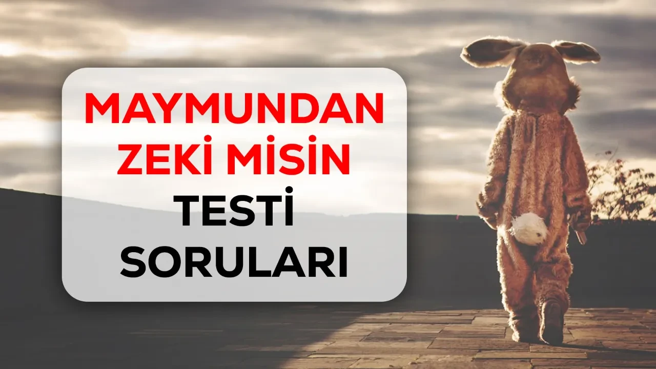 Maymundan daha zeki misin testi soruları! Maymun mu daha zeki sevgilim mi soruları nelerdir?