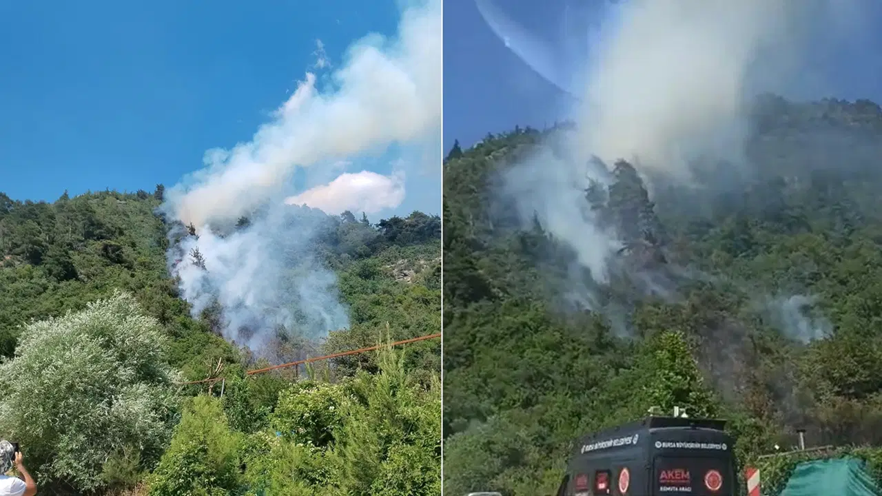 Bursa'da orman yangını: Ekipler müdahale ediyor