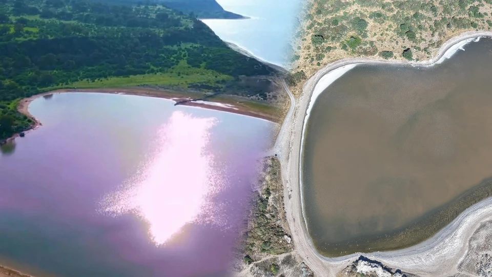'Kalpli Göl'de bu sene pembe olmadı: Uzman isimden dikkat çeken açıklama
