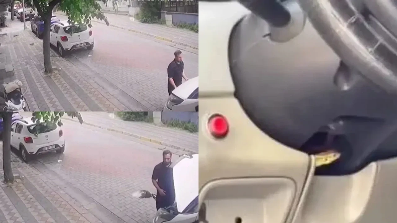 Kaputun altından kuş, direksiyonun içinden kertenkele çıktı