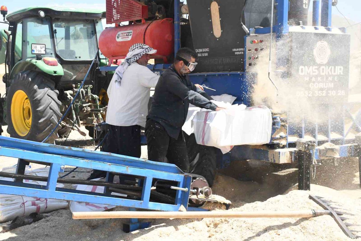 Yozgat’ta saman mesaisi: Tozun içinde ekmek mücadelesi