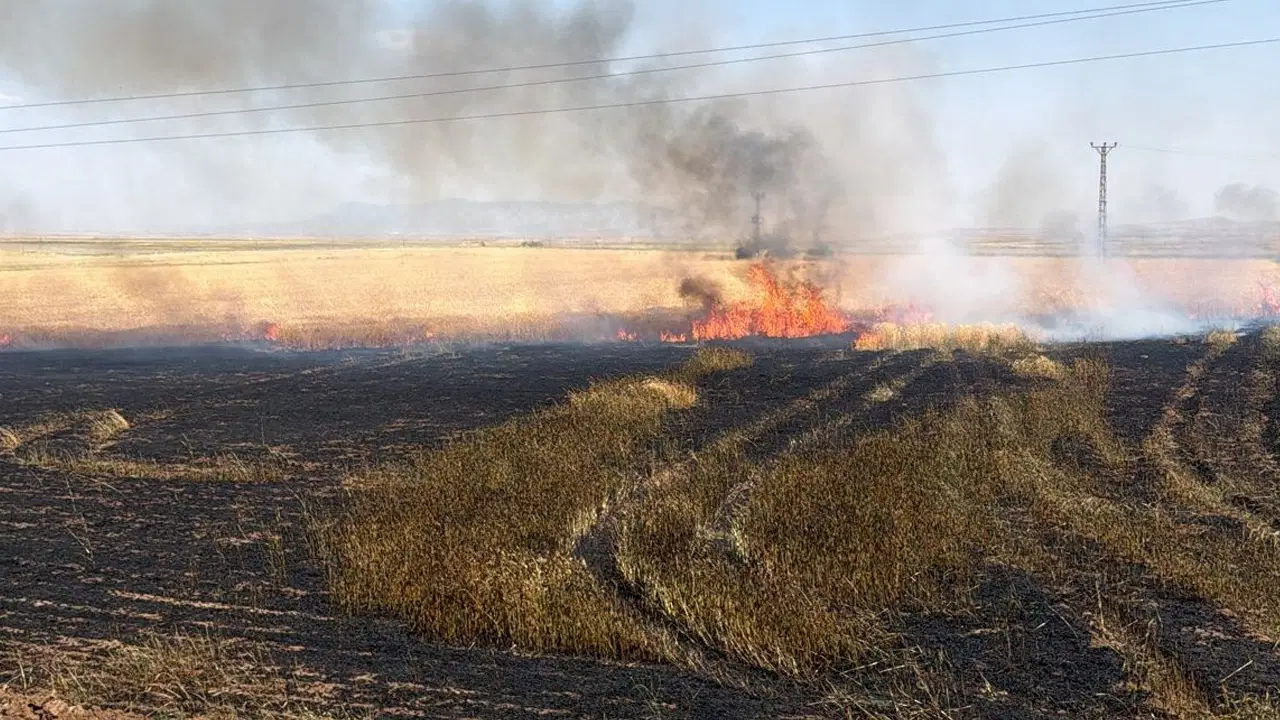 Şırnak'ta buğday tarlasında korkutan yangın: 10 dönüm zarar gördü