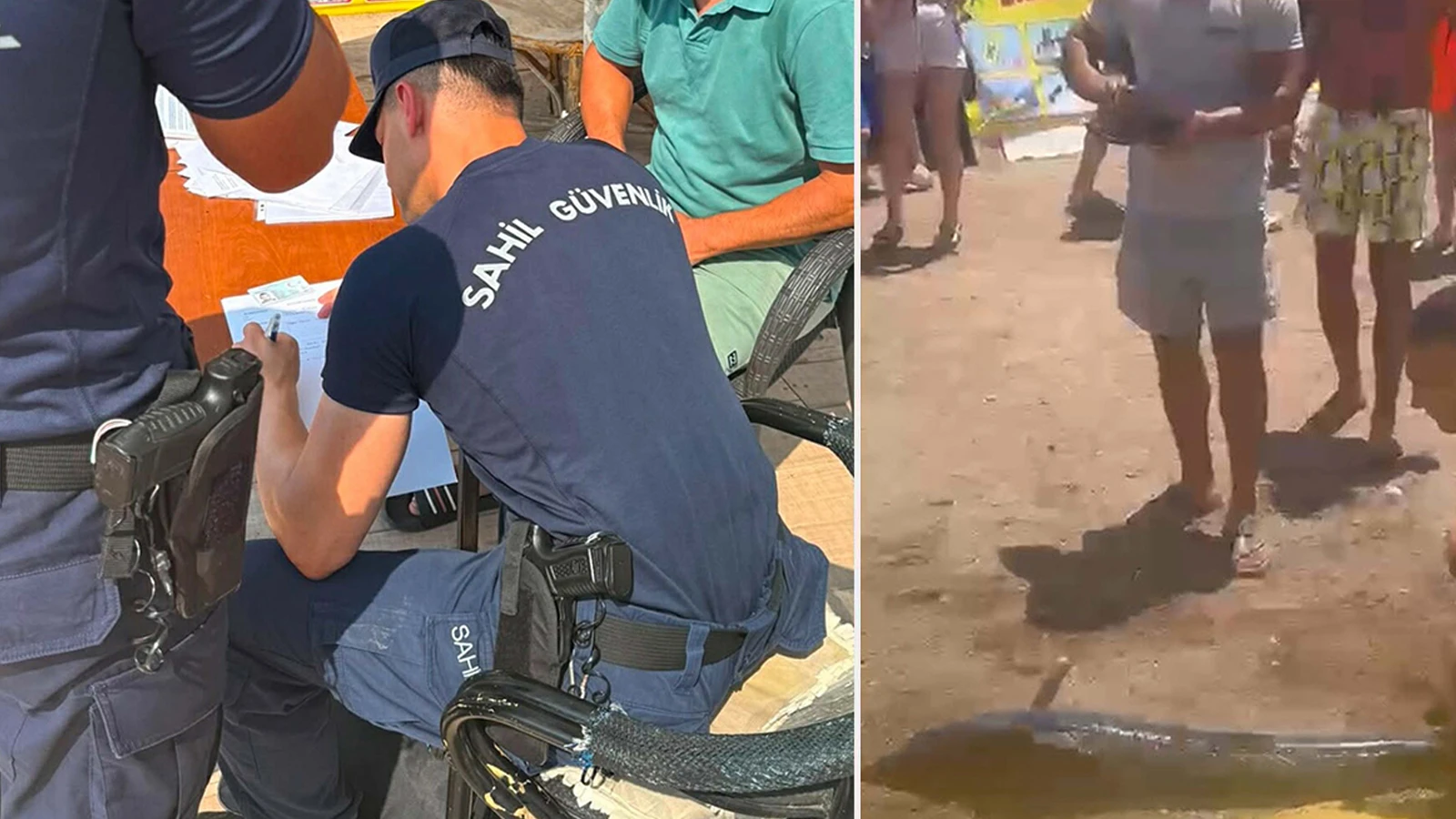 Kılıç balığını kuyruğundan çekip karaya çıkardı cezayı yedi