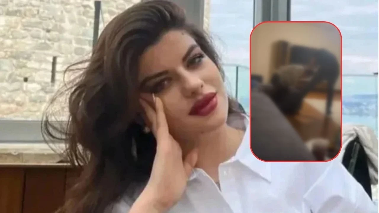 Ayşe Tokyaz cinayetinde Cemil Koç'tan dikkat çeken savunma! Darp görüntüleri ortaya çıktı