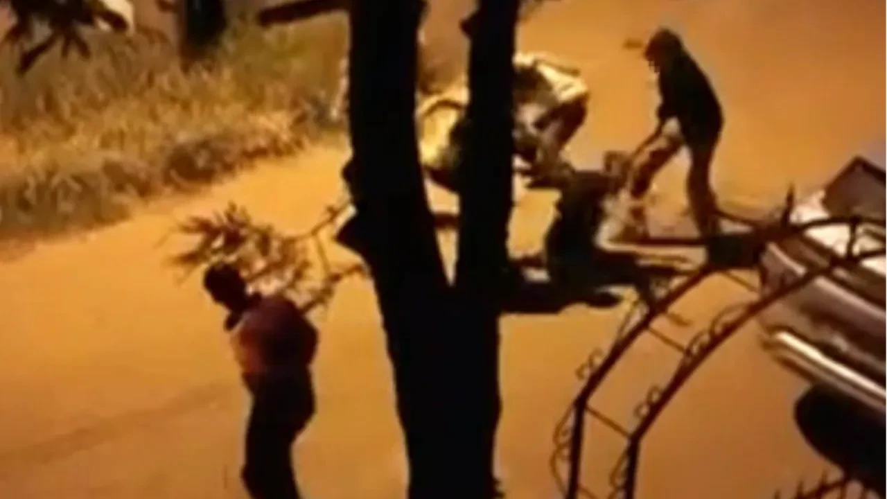 Park savaş alanına döndü! Bıçaklı kavga kamerada