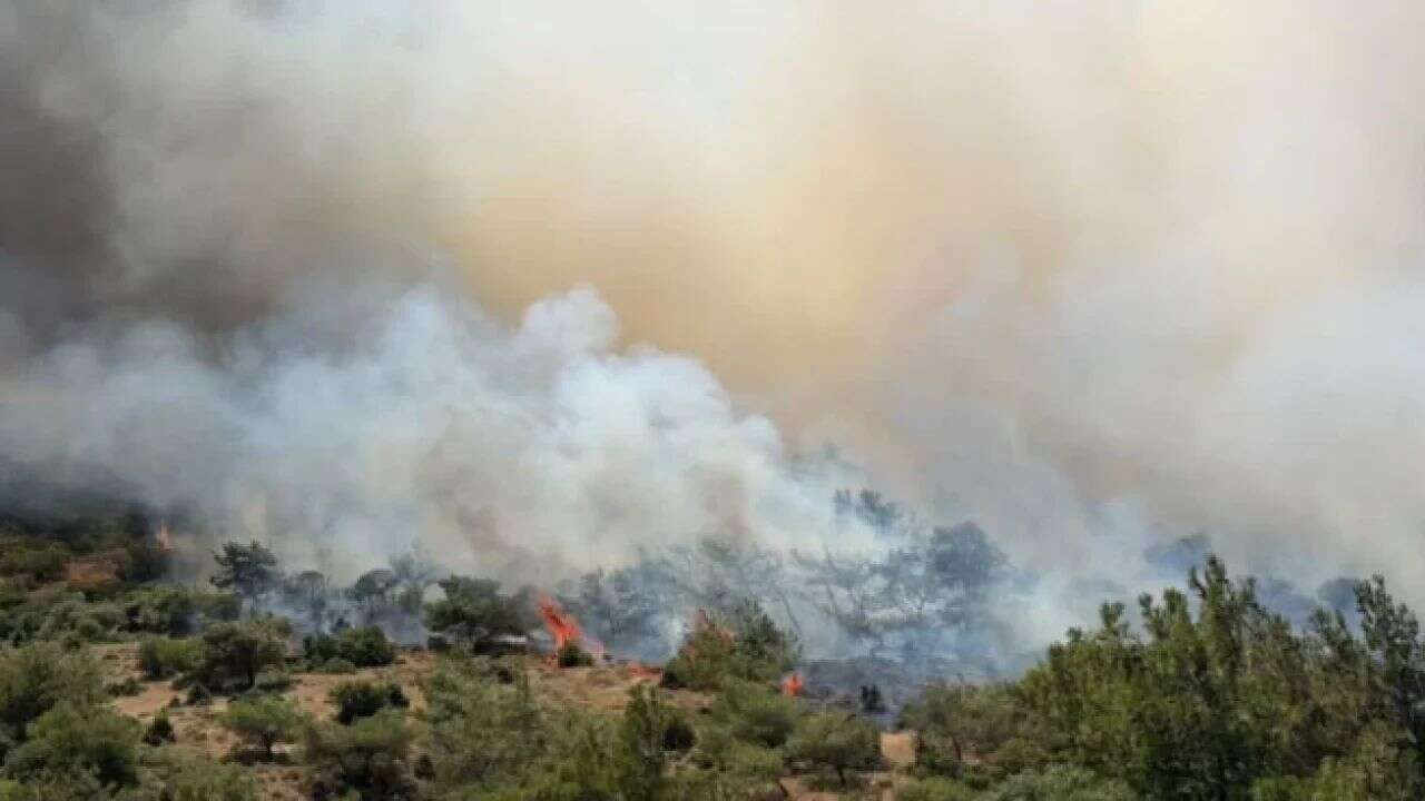 İzmir'de makilik alanda çıkan yangın sahile kadar ilerledi
