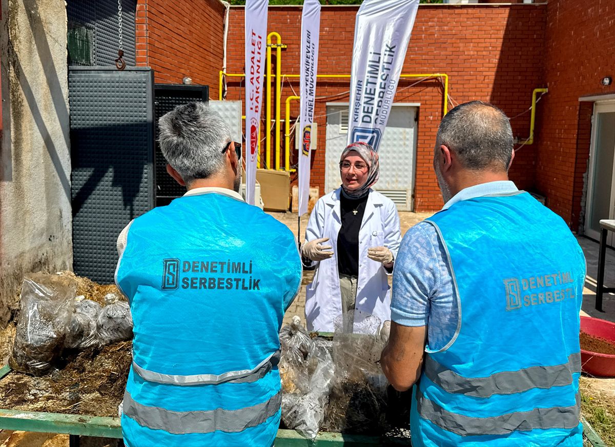 Yükümlüler "Gelecek Doğada Projesi" ile mantar yetiştiriciliğini öğreniyor