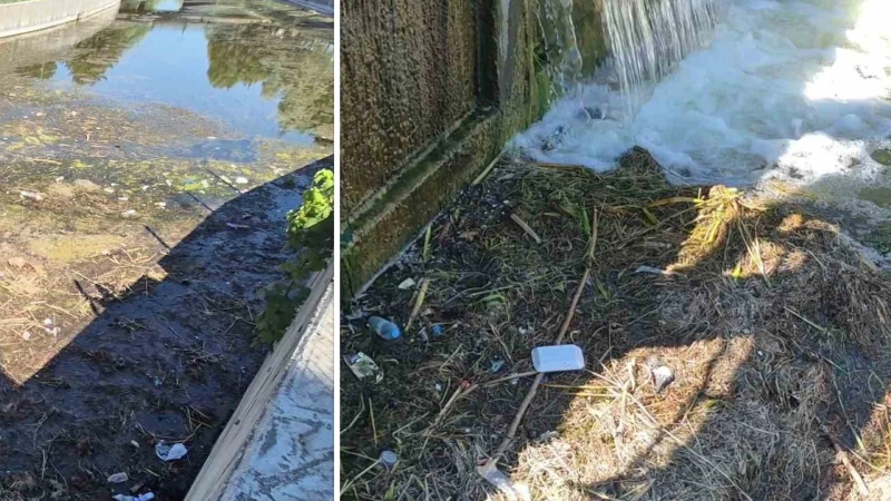 Piknikçi gençler Porsuk'u çöplüğe çevirdi: Eskişehir'in gözdesini kötü koku sardı