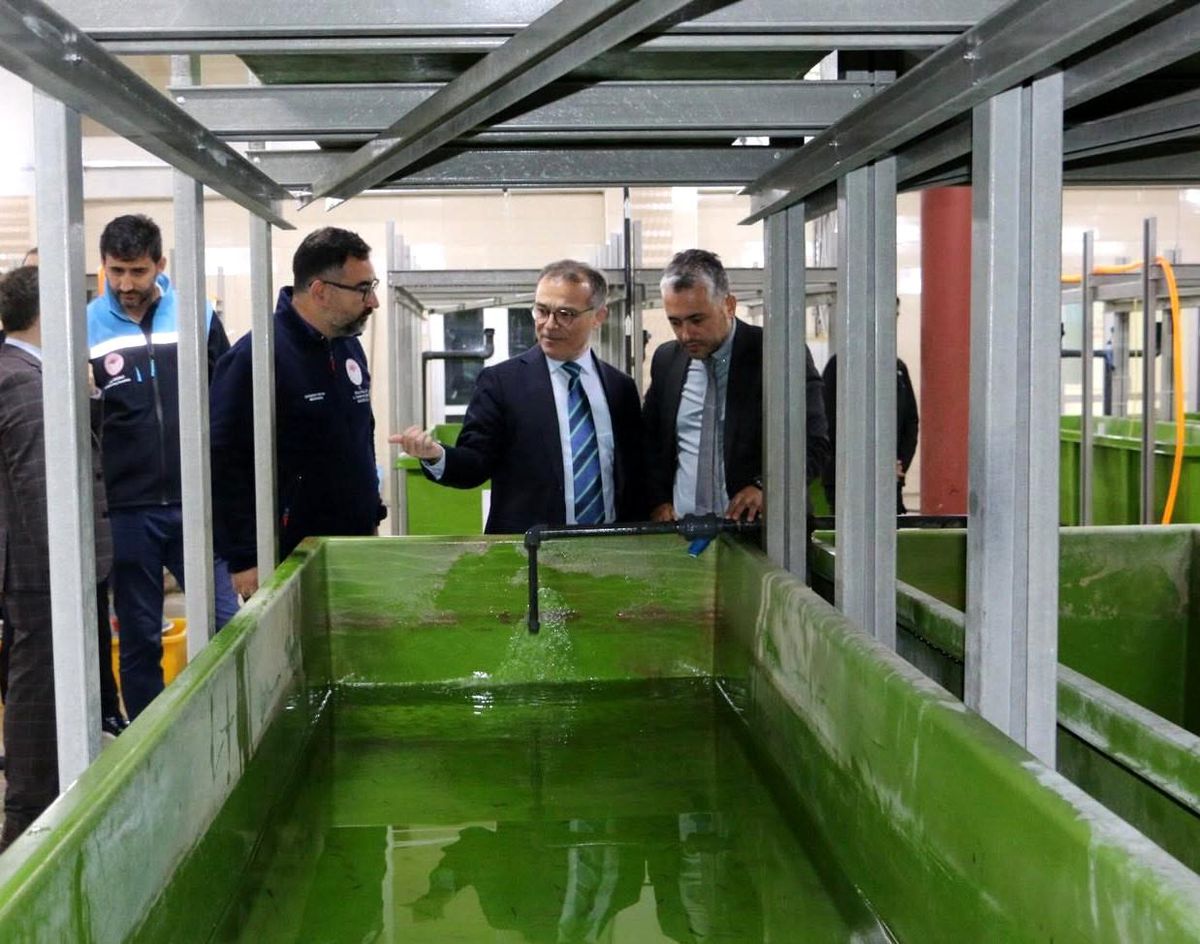 Abant Gölü'ne 100 bin endemik Abant alası bırakıldı