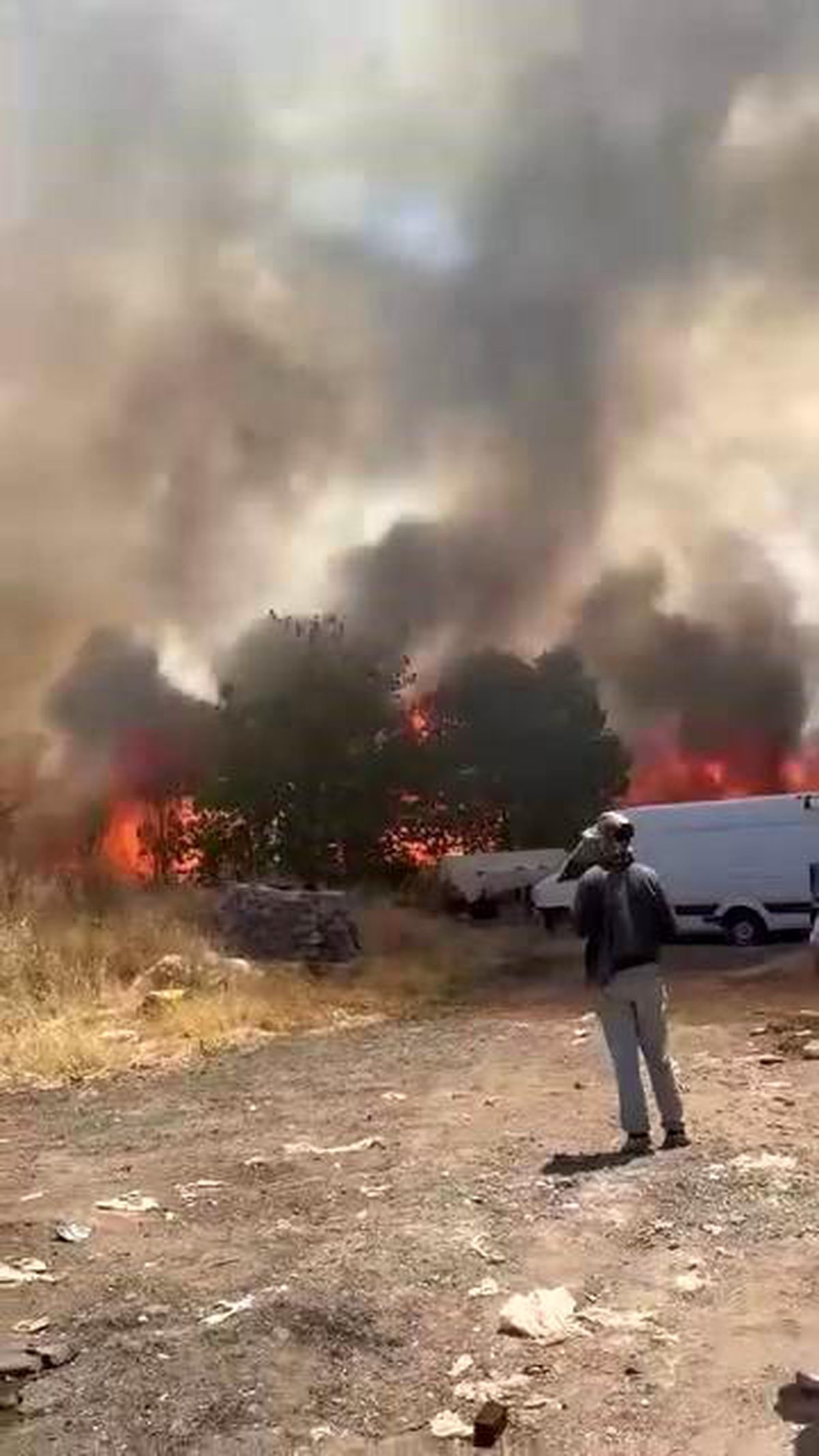 Diyarbakır'da korkutan yangın: Yüzlerce dönüm alan alevlere teslim oldu