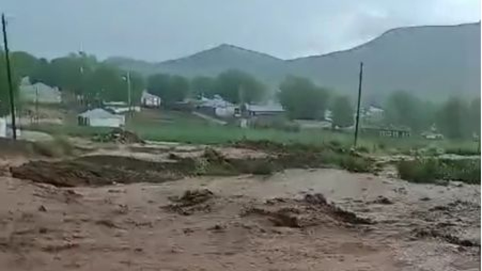 Van'da yağış sonrası sel!