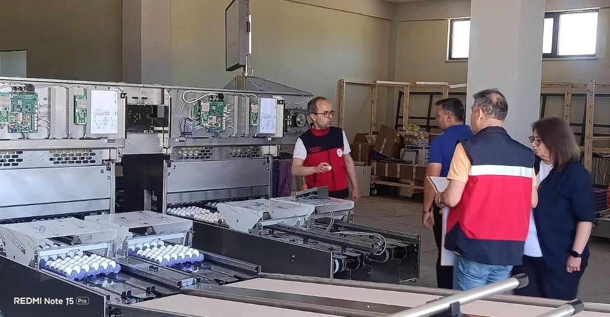 Tavşanlı'da yumurta paketlemede yeni dönem