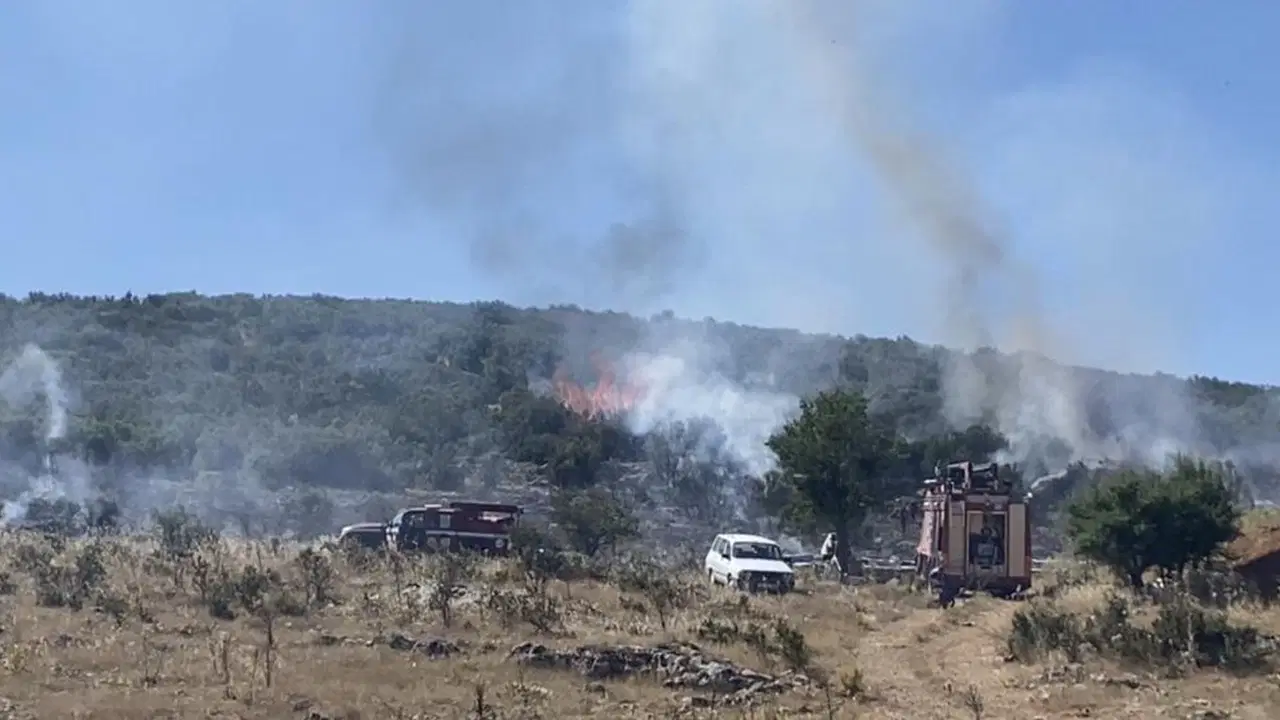 Arıcının tütsüsü ormanı yaktı