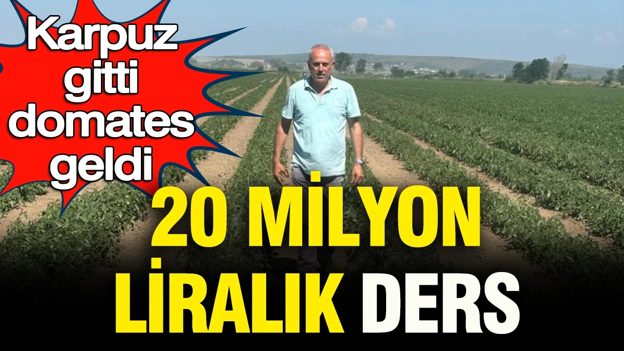 20 milyon liralık ders: Karpuz gitti domates geldi