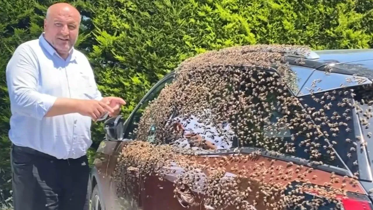 Oğul atan arılar otomobili sardı! Görenler kaçmaya başladı