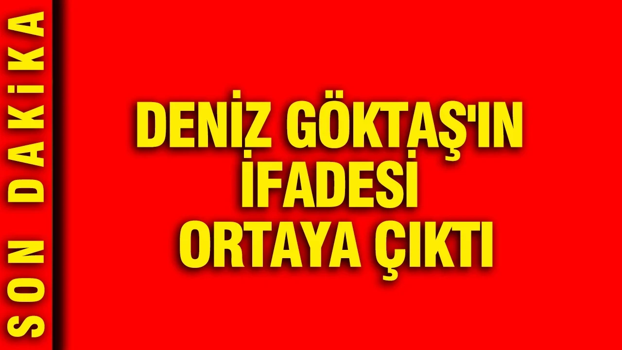 Deniz Göktaş'ın ifadesi ortaya çıktı