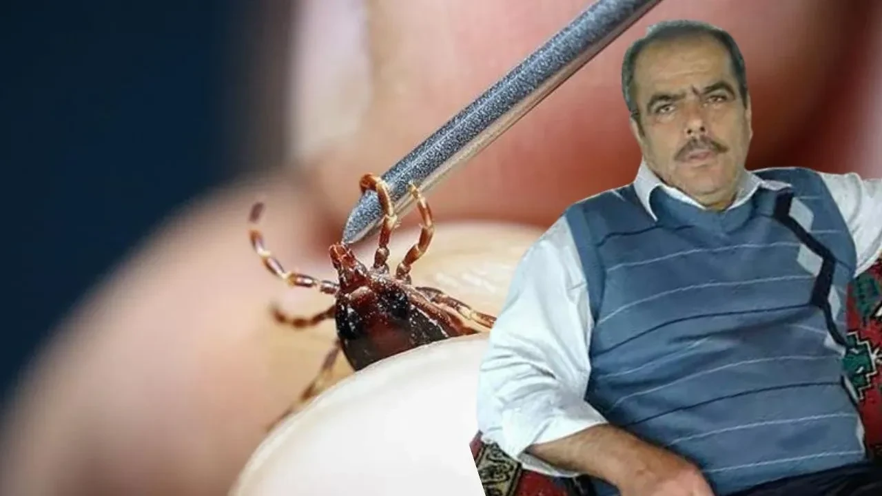 Kene kabusu sürüyor: Memleket tatili kene yüzünden acı sonla bitti