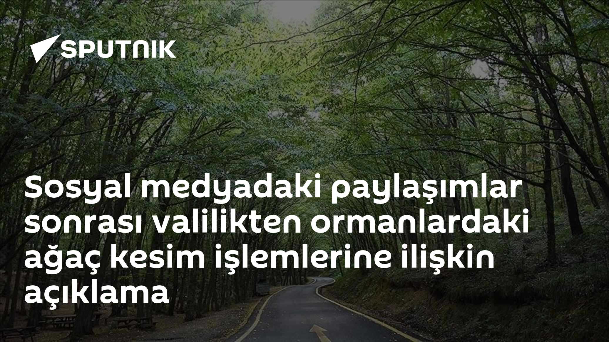 Sosyal medyadaki paylaşımlar sonrası valilikten ormanlardaki ağaç kesim işlemlerine ilişkin açıklama