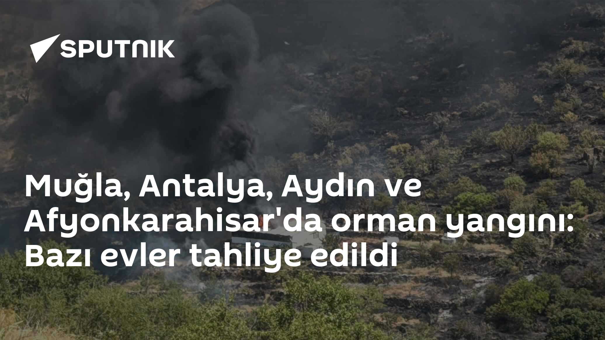 Muğla, Antalya, Aydın ve Afyonkarahisar'da orman yangını: Bazı evler tahliye edildi