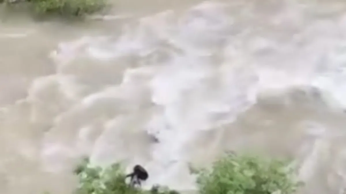 Artvin'de otomobil Çoruh Nehri'ne düştü: Baba ile oğlu aranıyor