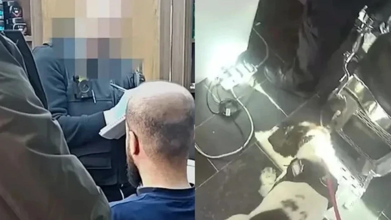 Turuncu Holding'e yasadışı bahis operasyonu: 25 şirkete kayyım atandı