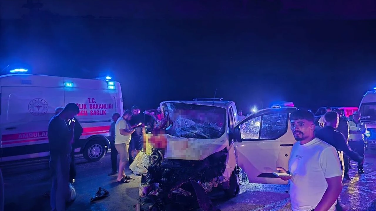 Bingöl’de panelvan yola çıkan ata çarptı: 1 ölü, 2 yaralı