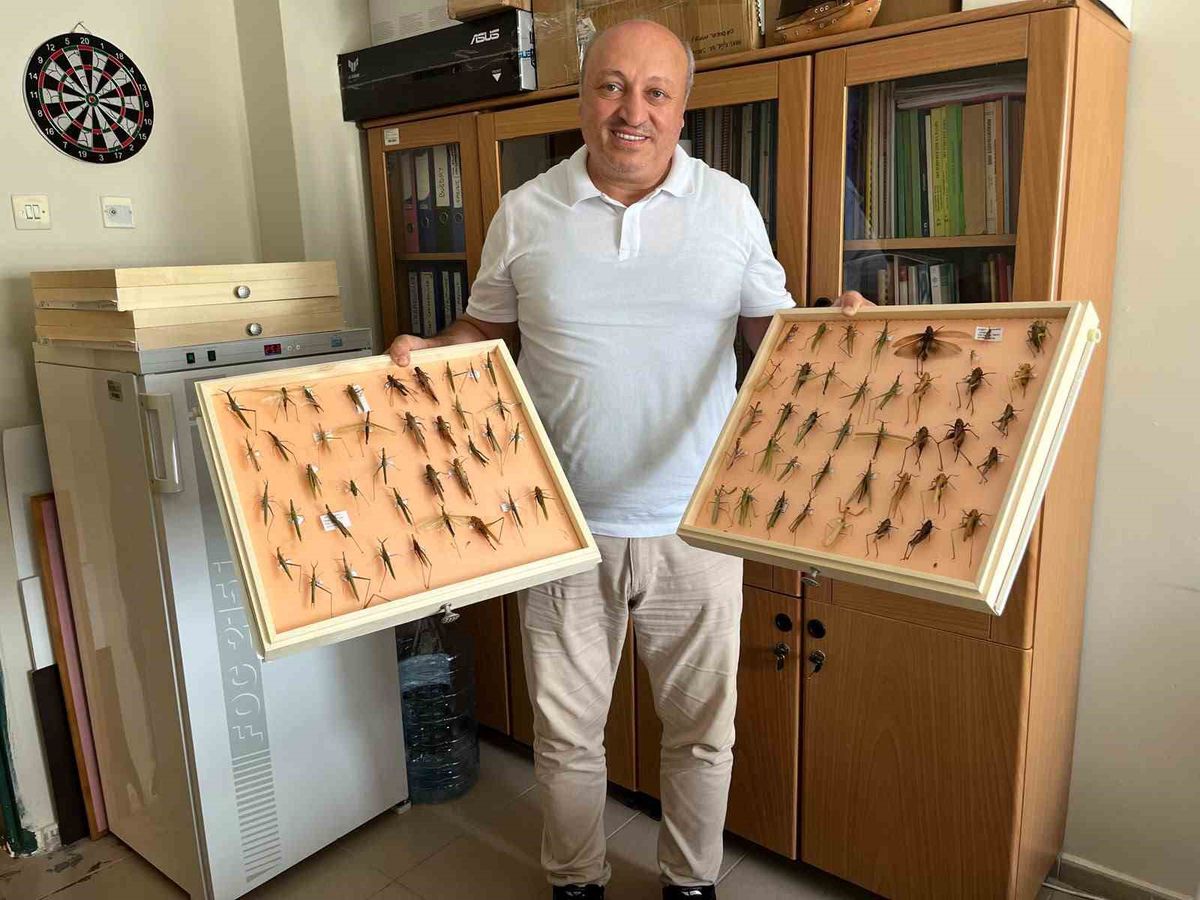 Prof. Dr. Saruhan: Çekirge salgını yok, mevsimsel artış