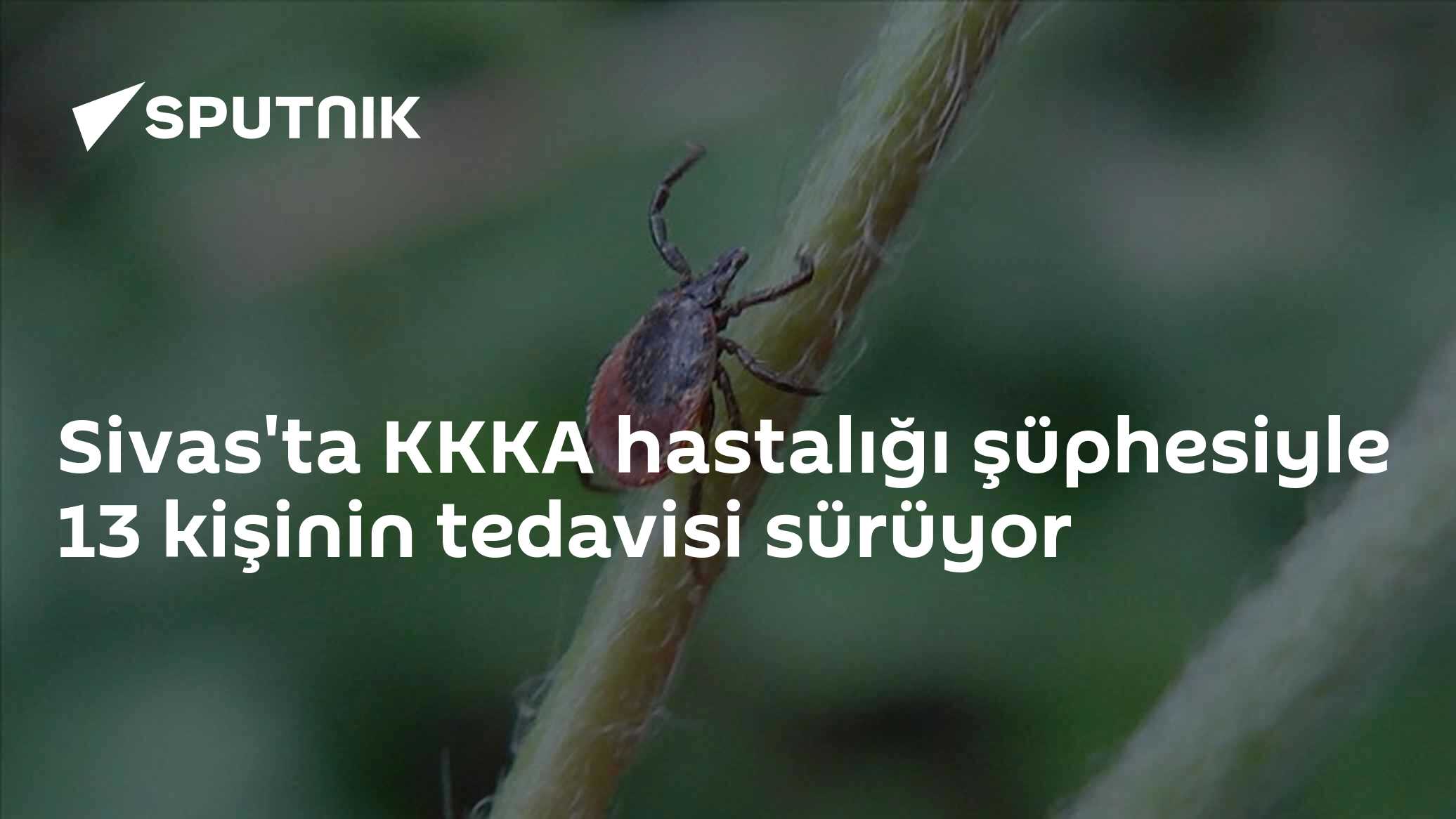 Sivas'ta KKKA hastalığı şüphesiyle 13 kişinin tedavisi sürüyor