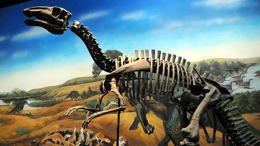 Boyu 20 metreye kadar çıkabiliyor… Tayland'da yeni dinozor türü keşfedildi