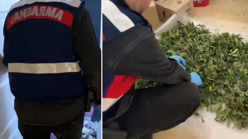 45 ilde 'Narko Pars' operasyonu: 352 şüpheli yakalandı