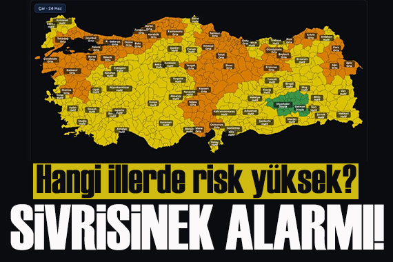 Türkiye'de sivrisinek alarmı! Hangi illerde risk yüksek?