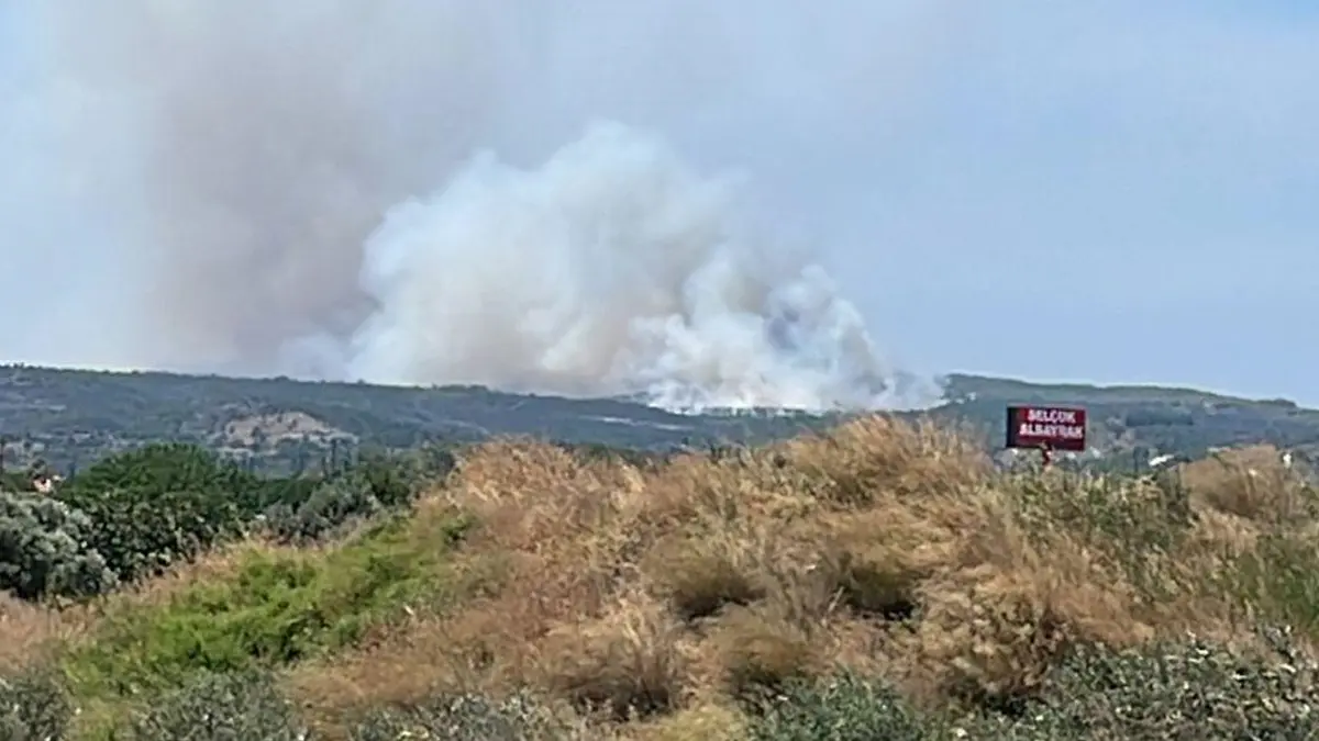 İzmir Çeşme'de yangın! Alevler makilik alana çıktı