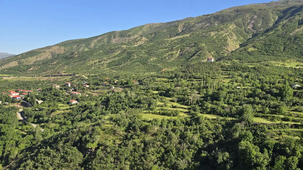 Şırnak'ta ormanlara girişler yasaklandı
