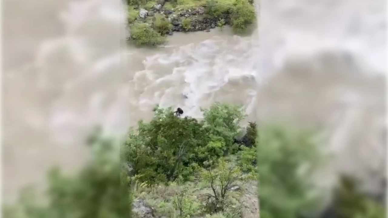 Otomobil nehre uçtu: Baba ile oğlu kayboldu