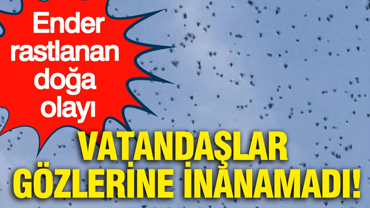 Ender rastlanan doğa olayı: Vatandaşlar gözlerine inanamadı