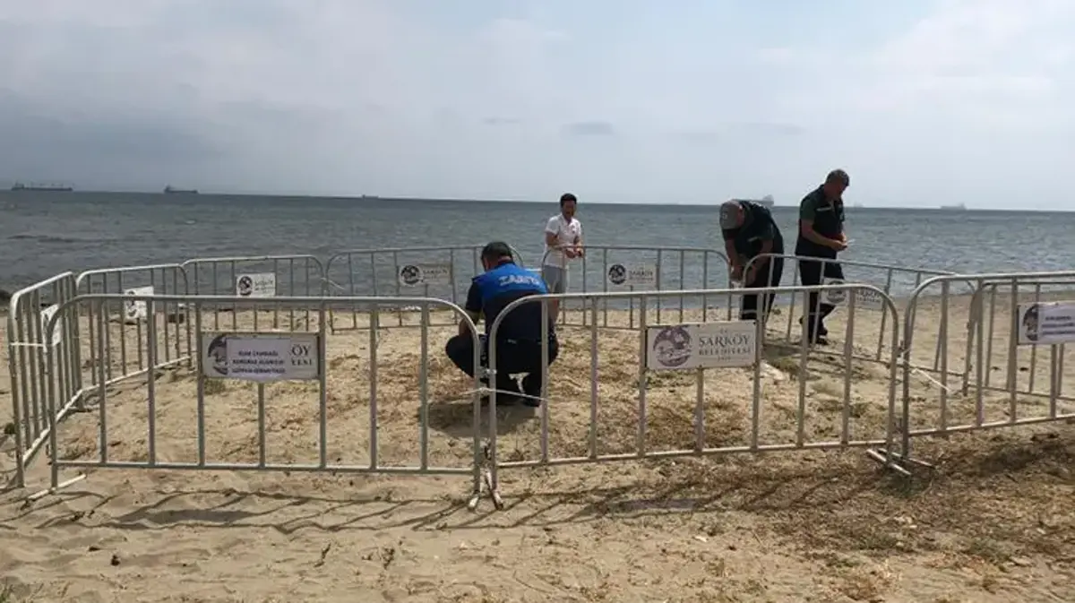 Tekirdağ'da bulundu ve koruma altına alındı! Koparmanın cezası 700 bin TL