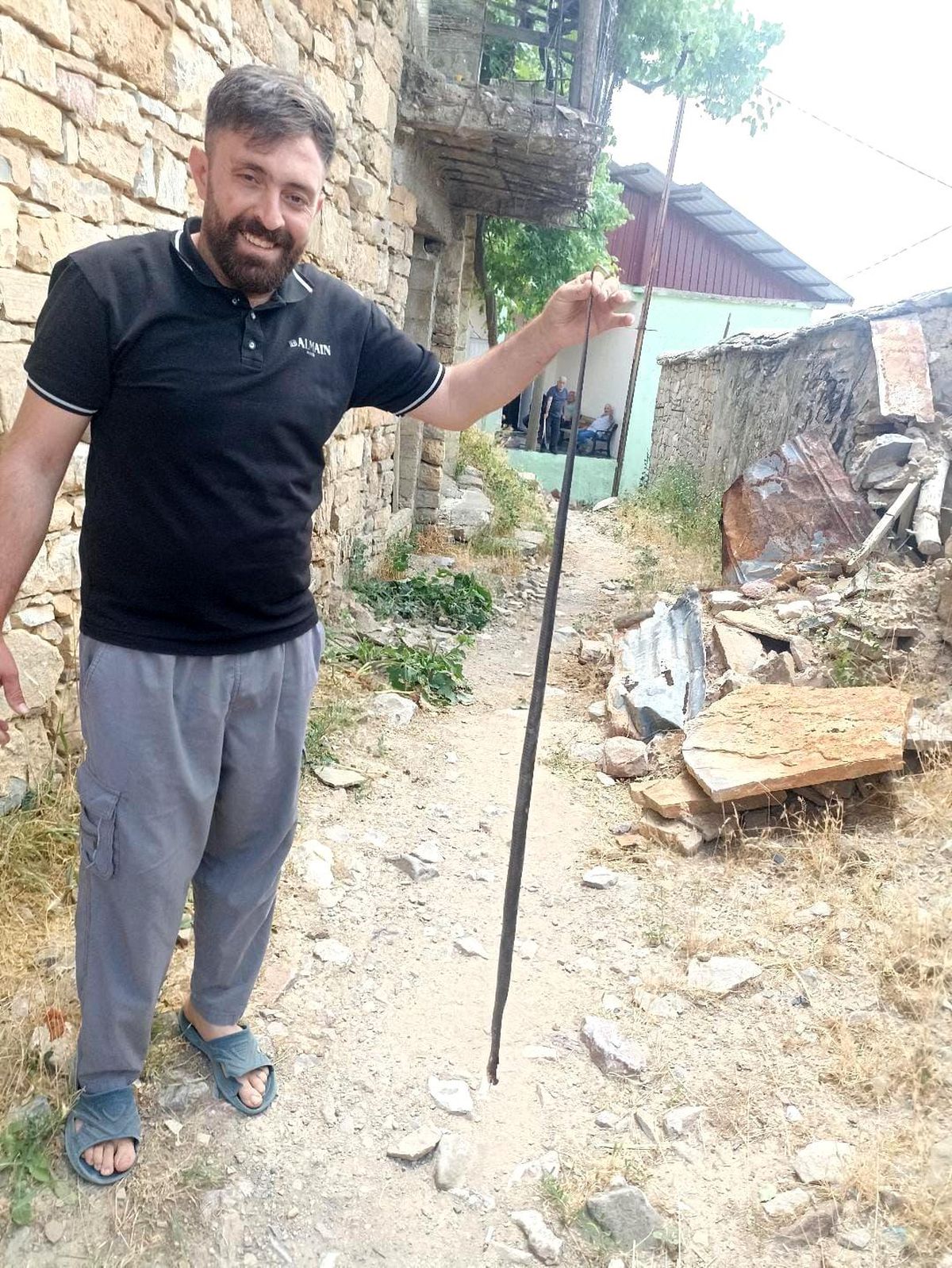 Baykan'da yılan paniği