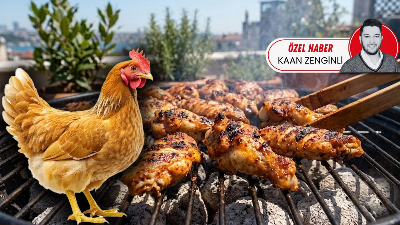 Tavuk karteline devlet neşteri! 13 şirkete denetim kayyımı atandı