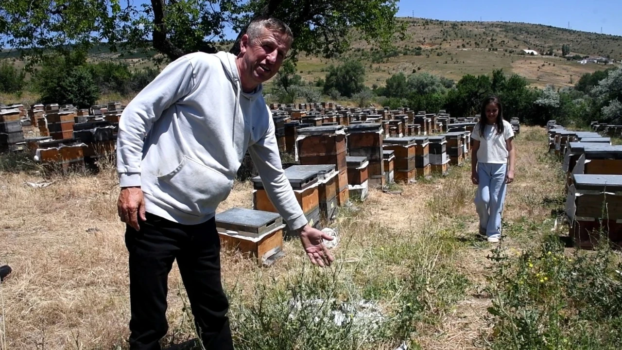 Devlet memurluğundan emekli oldu bu işe başladı: Bu yıl 1500 kilogram üretmeyi hedefliyor