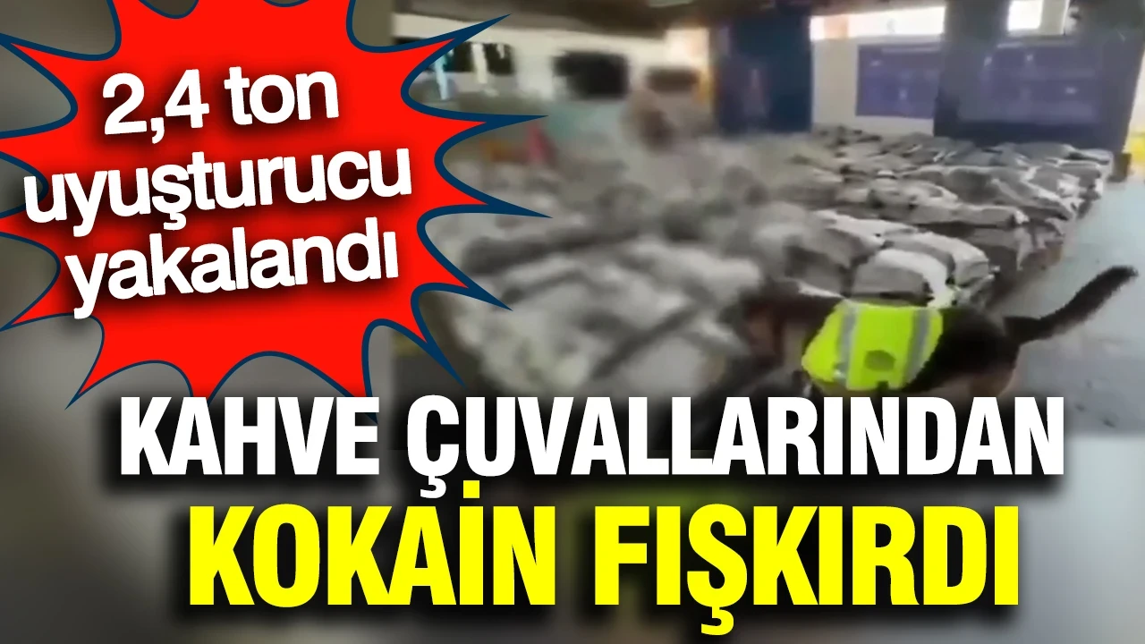 Kolombiya’da kahve çuvallarından kokain fışkırdı: 2,4 ton uyuşturucu yakalandı