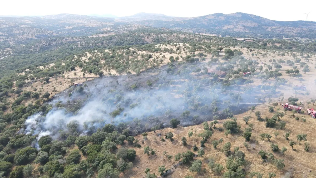 Çanakkale'de yangın