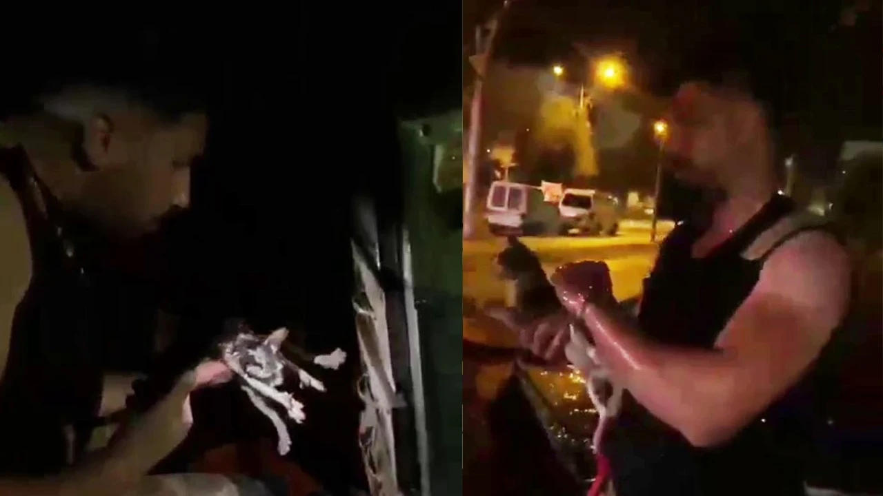 Diyarbakır’da büfe yangını: Mahsur kalan kedi itfaiye tarafından kurtarıldı
