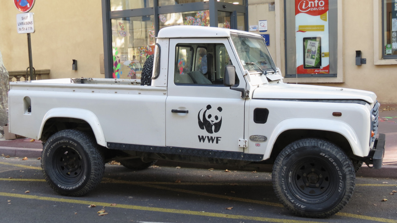 WWF Fransa’nın başı belada